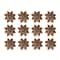 Hello Honey® 5" Multicolor Rustic Glaze Stoneware Flower Plate, 12ct.